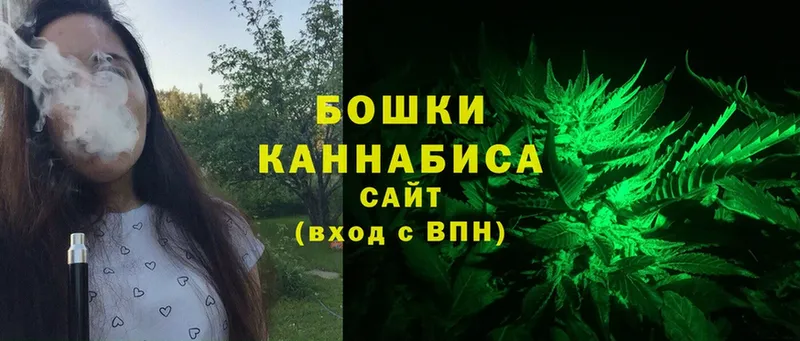 Бошки марихуана SATIVA & INDICA  наркошоп  Югорск 